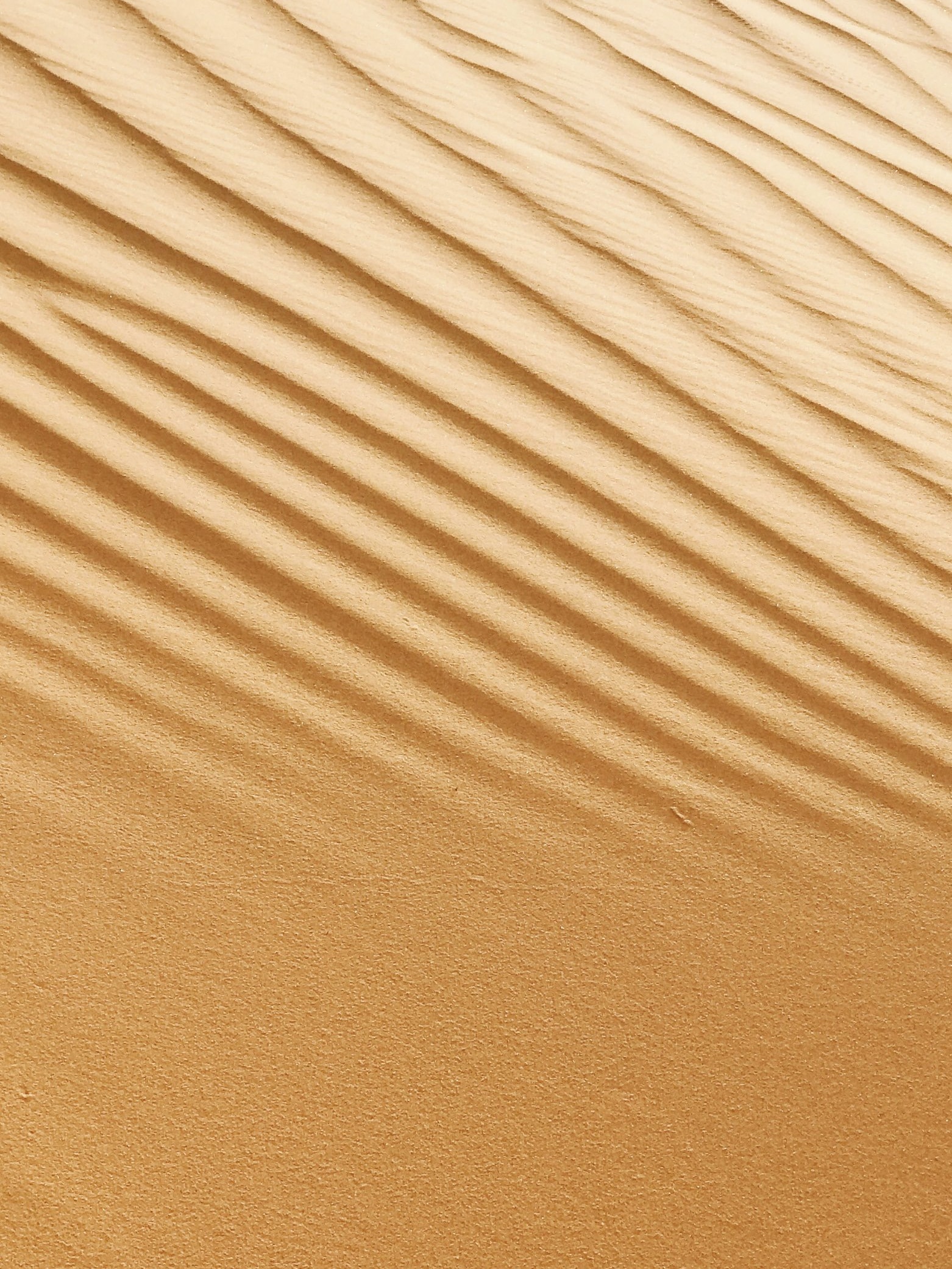 Rippled golden sand
